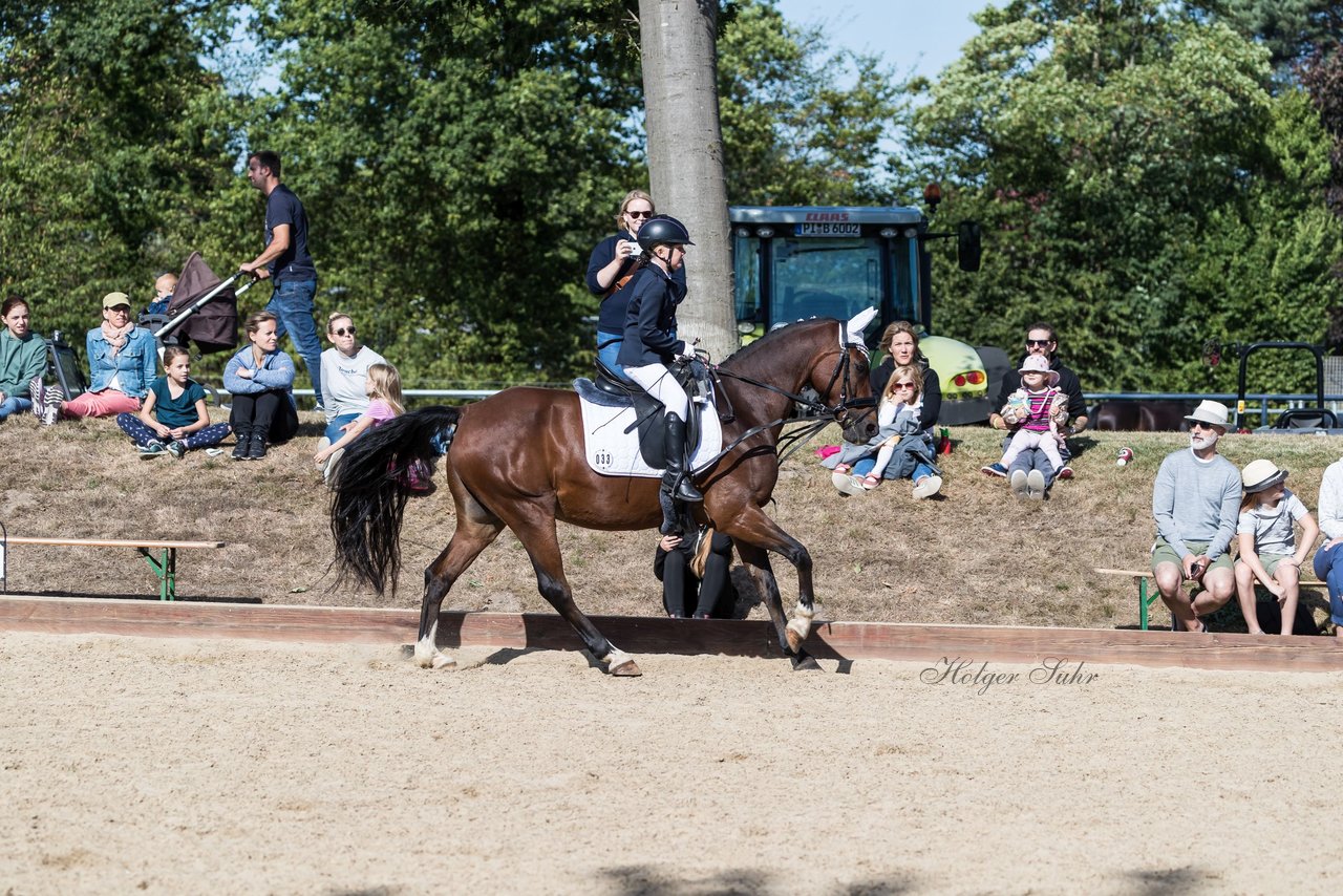 Bild 67 - Pony Akademie Turnier